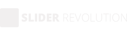 A black and white image of the logo for spyder reviews.