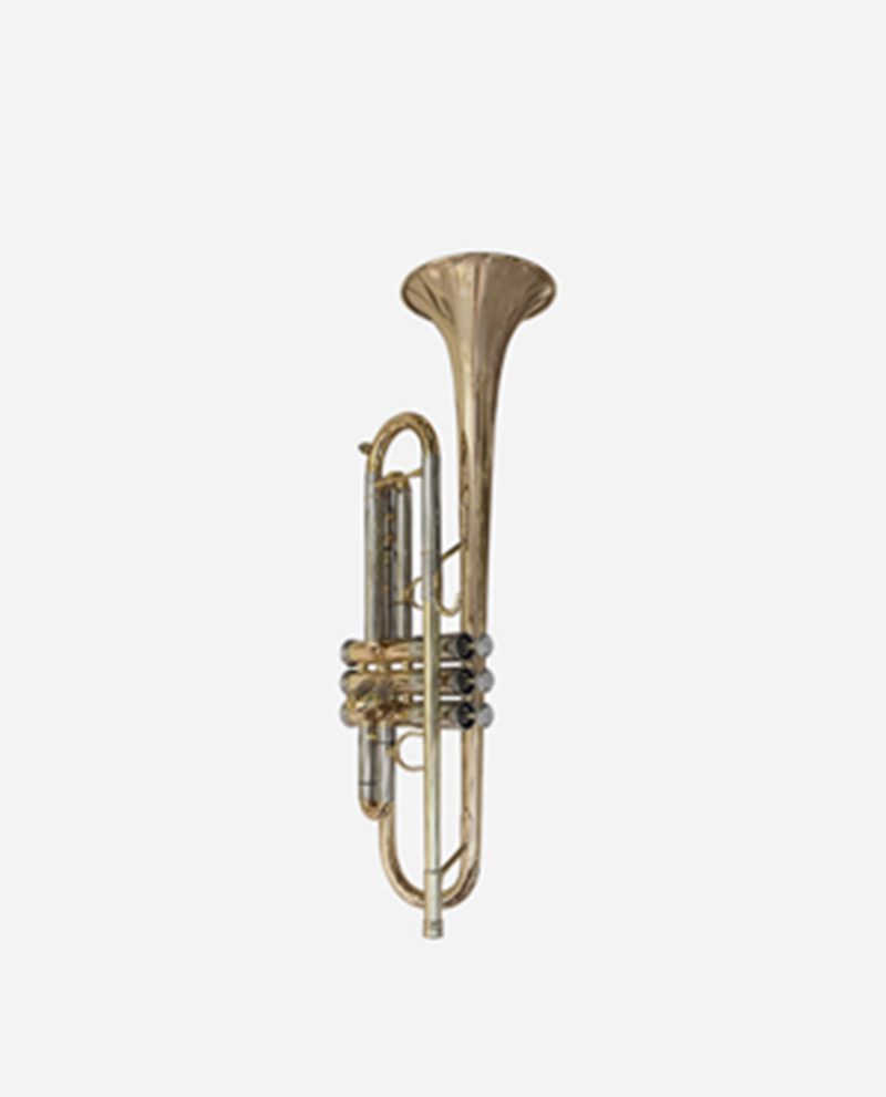A trumpet is shown with the horn turned down.
